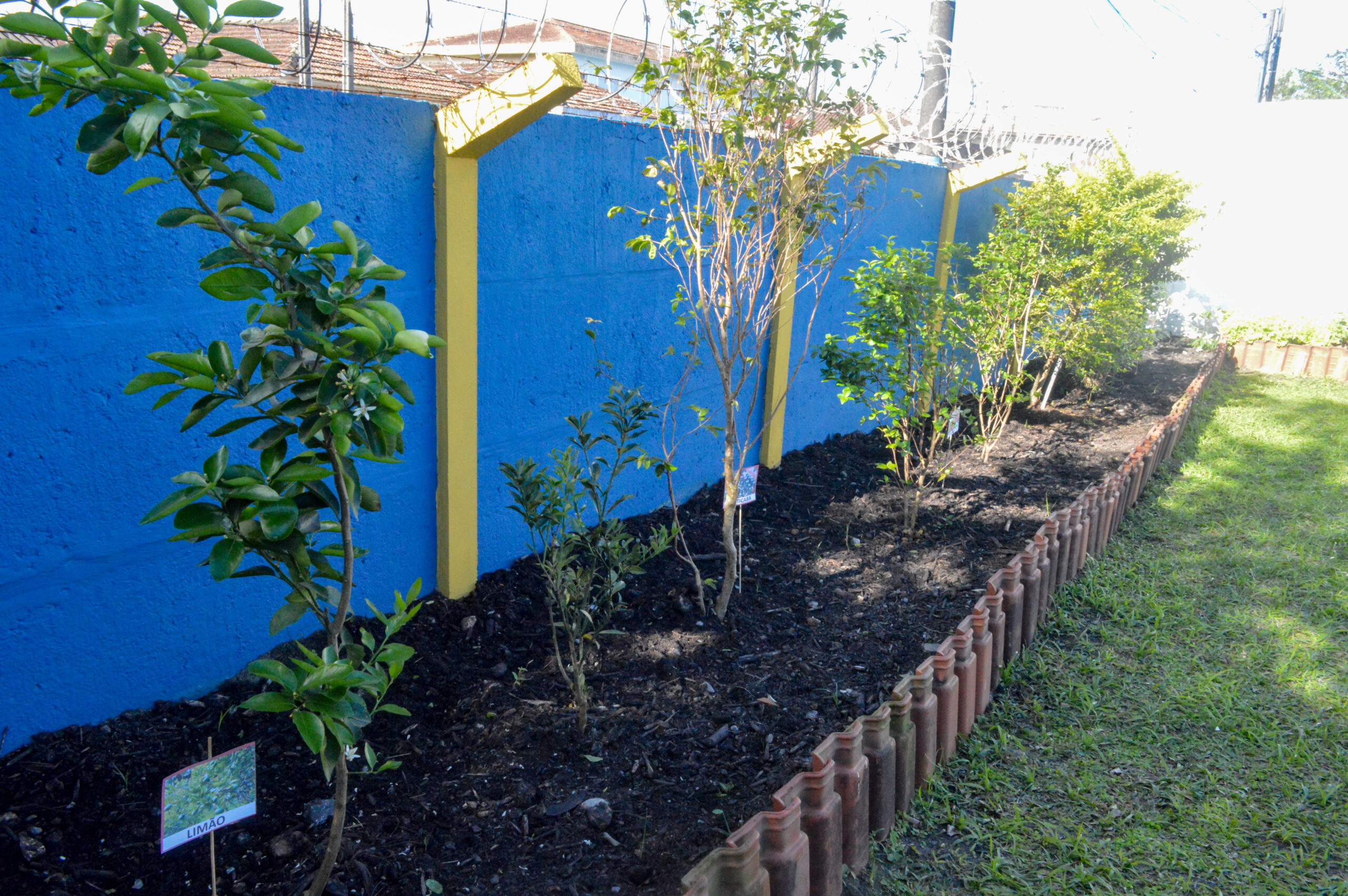 Escolas de Guarujá comemoram Dia Mundial  do Meio Ambiente com oficinas e passeios