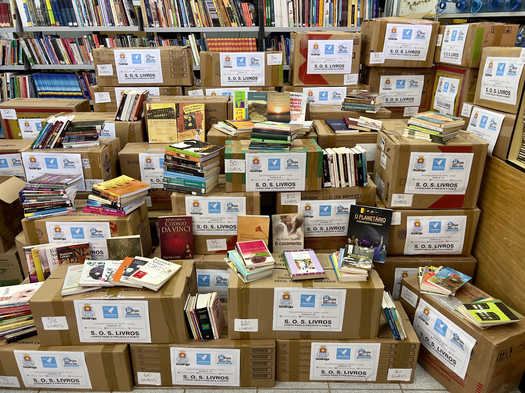 Guarujá arrecada mais de 15 mil livros para vítimas das enchentes no Rio Grande do Sul