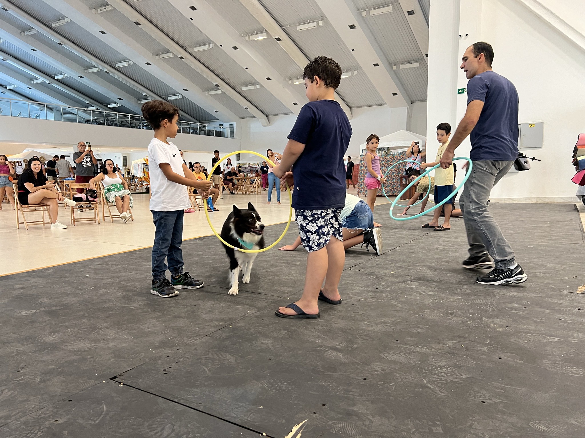 Em Guarujá, festa junina para animais de estimação é sucesso em adoção de pets